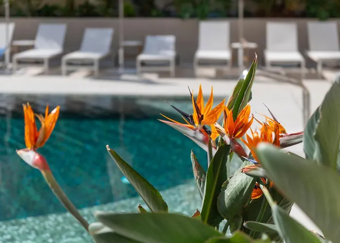 Aqua Hotel Promenade & Spa 4Sup
